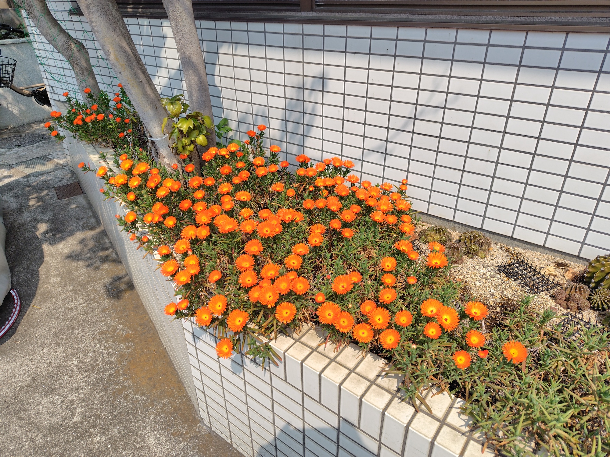 新着情報の画像